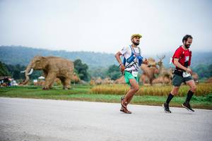 BIB: 
                            <button type="button" onclick="openModal(22401047)" class="btn btn-primary btn-sm float-right btn-popup" data-toggle="modal" data-target=".modal-high-quality">
                        <i class="fas fa-shopping-cart"></i> Add to Cart
                    </button>
                                            <button type="button" onclick="isThisMe(22401047, true)" class="btn btn-success btn-sm float-right btn-popup btn-isme hidden" data-toggle="tooltip" data-placement="bottom" title="นี่คือรูปของคุณใช่ไหม คลิกที่นี่เพื่อเอาเข้าอัลบั้ม">
                        <i class="fas fa-plus"></i> Add to album
                    </button>
                    <button type="button" onclick="isThisMe(22401047, false)" class="btn btn-warning btn-sm float-right btn-popup btn-isnotme hidden">
                        <i class="fas fa-ban"></i> Remove from album
                    </button>